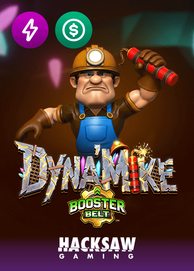 Dyna Mike Booster Belt