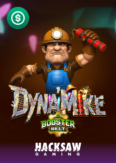 Dyna Mike Booster Belt